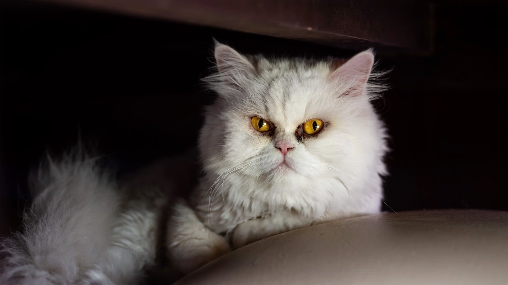 开云esport-【战术革新】新规则下球队如何调整战术布局，球员布置战术